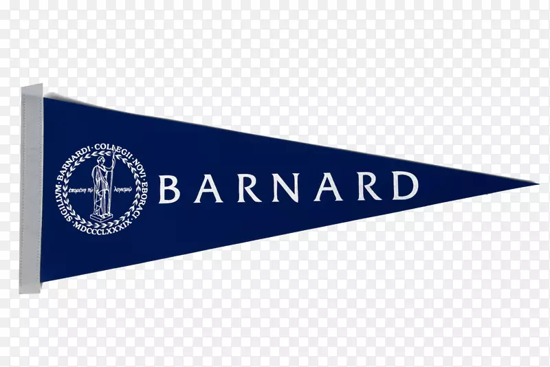 巴纳德大学旗选择策略-旗子