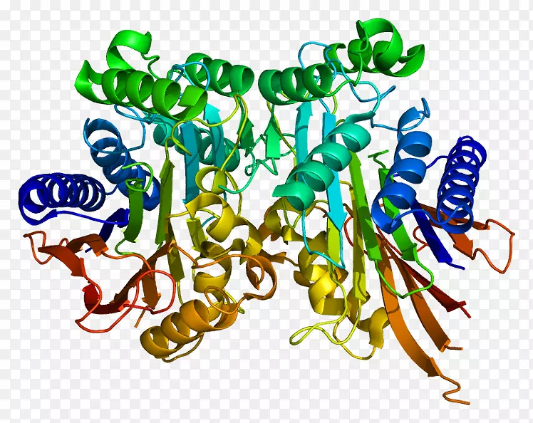 Tasp1蛋白基因酶蛋白酶-酶