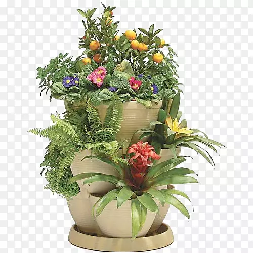花盆花卉设计塑料室内植物-花卉