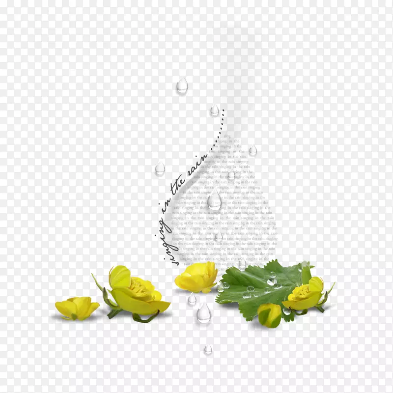 青蛙动画桌面壁纸-青蛙