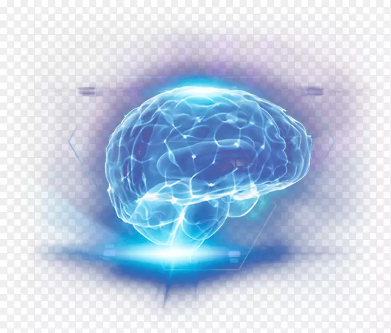 膳食补充剂脑片迷视神经系统-脑