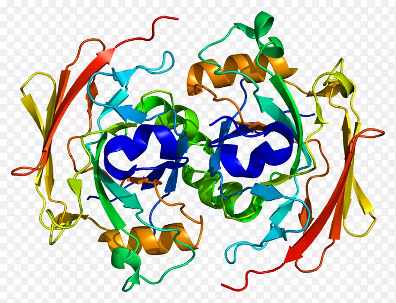 蛋白受体激酶酶