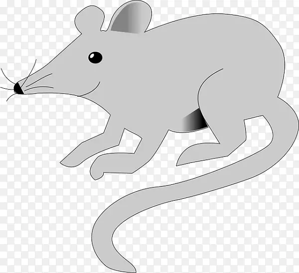 鼠棕色大鼠实验大鼠动物-小鼠