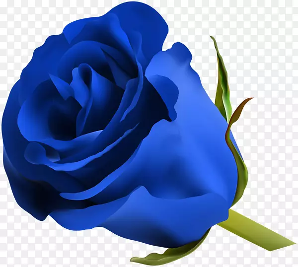 蓝玫瑰插花艺术-玫瑰