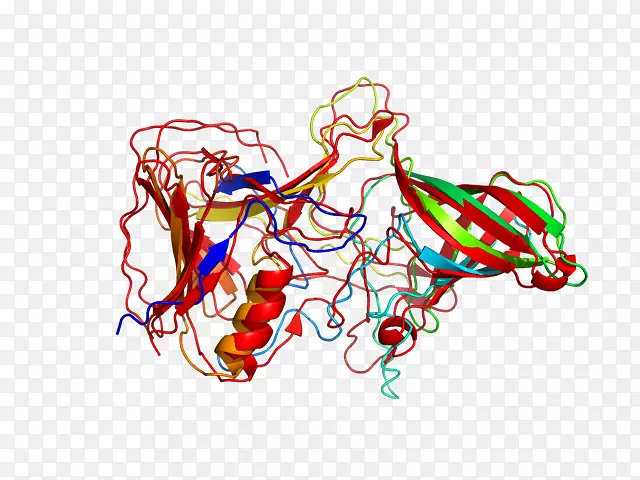 线点生物剪贴画线