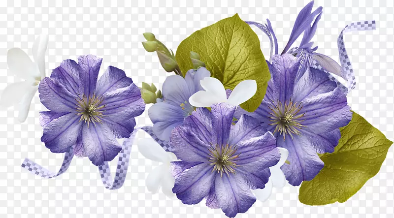 紫罗兰花艺术