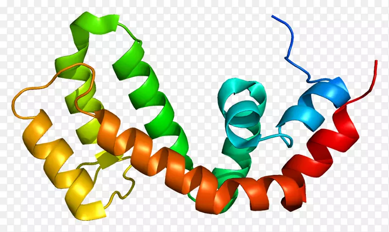 RGS 9调节蛋白RGS 4基因