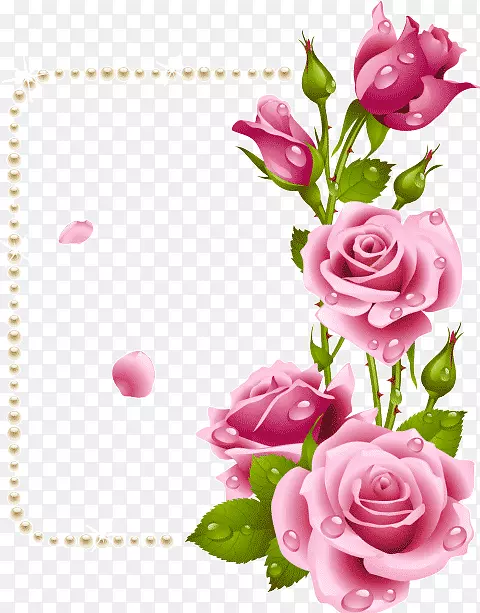 花园玫瑰画框花纸玫瑰