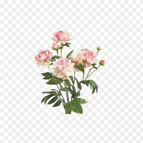 花卉设计-Naver博客