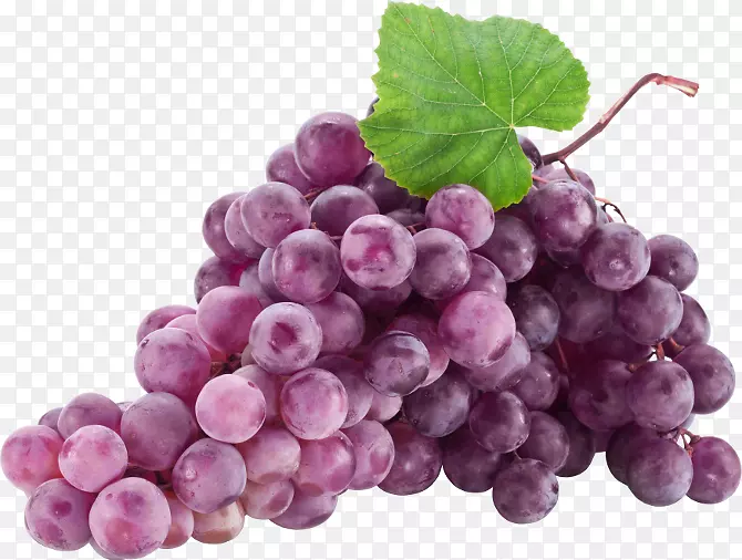 普通葡萄藤食用水果-葡萄