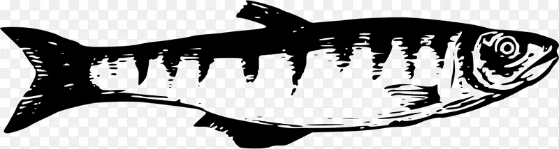 虎鲨湖坦噶尼喀淡水鱼湖