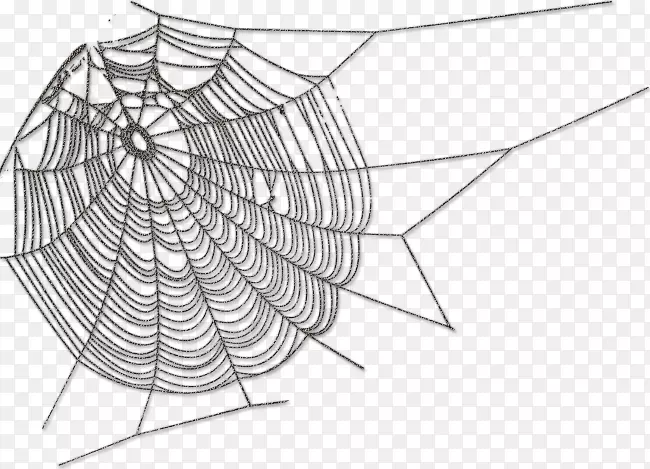 蜘蛛网蜘蛛丝蜘蛛
