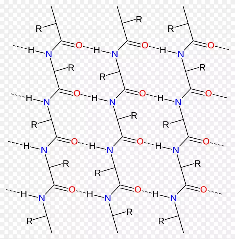 β片α-化学键肽键蛋白