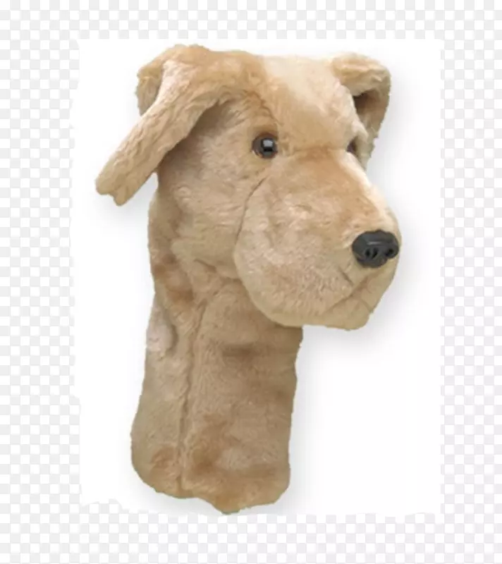 拉布拉多猎犬