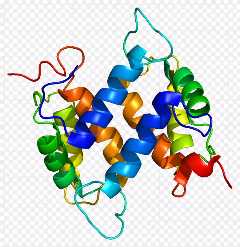 s100a13 s100蛋白hmgb 1 DNA结合蛋白