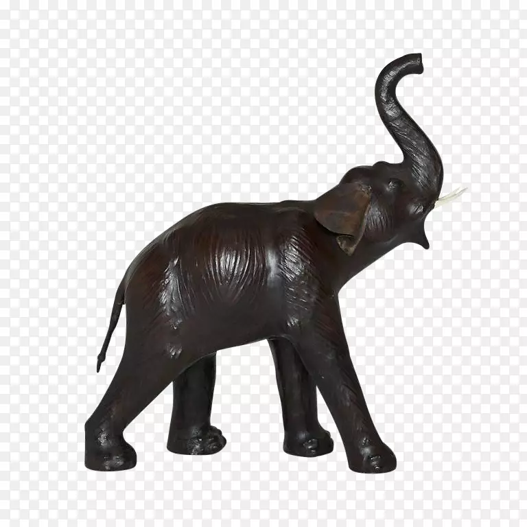 印度象非洲象犀牛-猪