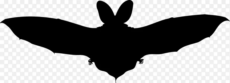 蝙蝠翼夹艺术