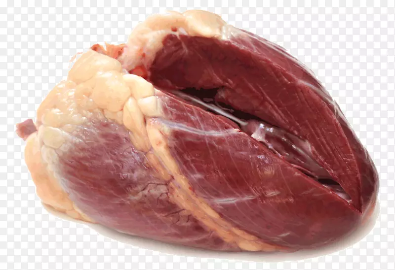 生肉羊肉排骨牛肉肉
