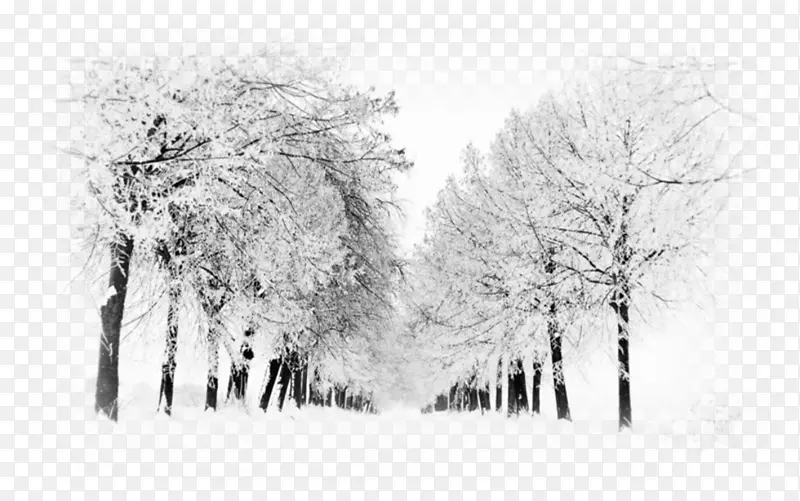 雪桌面壁纸冬季壁纸组-雪
