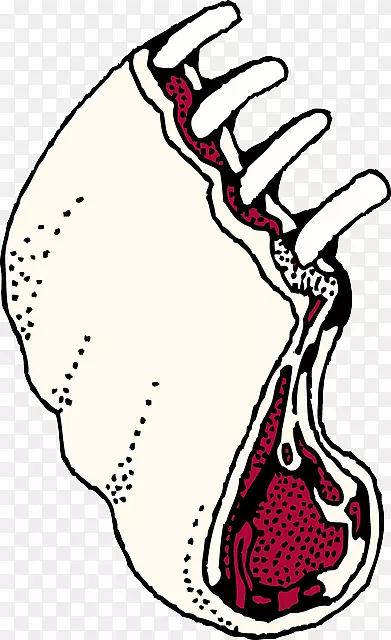 排骨、烤肉、排骨、站立肋骨烤肉-烧烤