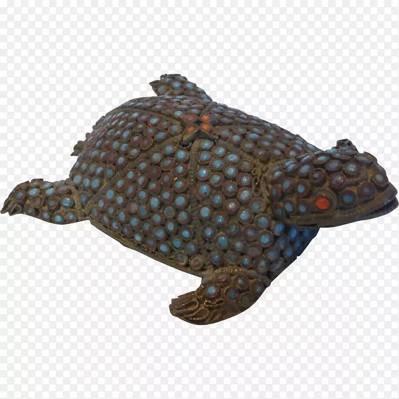 箱形龟抓取海龟甲鱼海龟