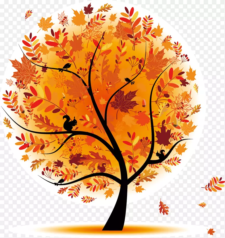 秋季树枝-秋天