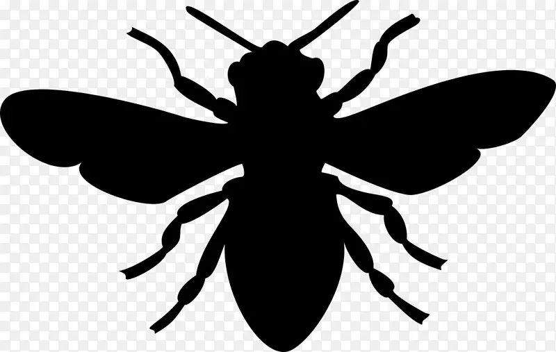欧洲黑蜂剪影剪贴画-蜜蜂