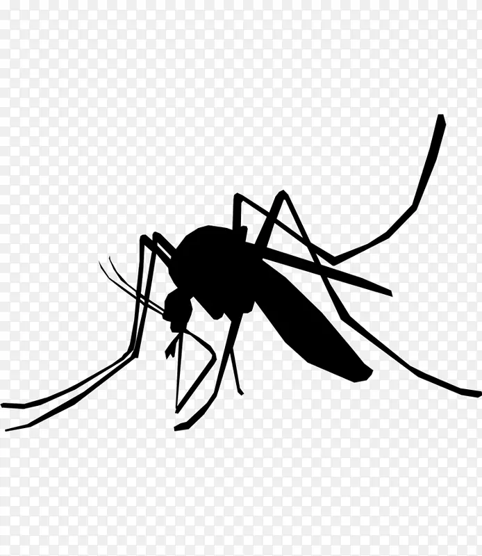 家用驱虫剂蚊虫防治寨卡病毒-昆虫