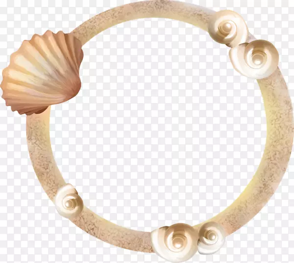 手镯贝壳