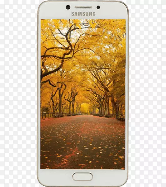 htc渴望高清桌面壁纸iphone android高清电视-iphone