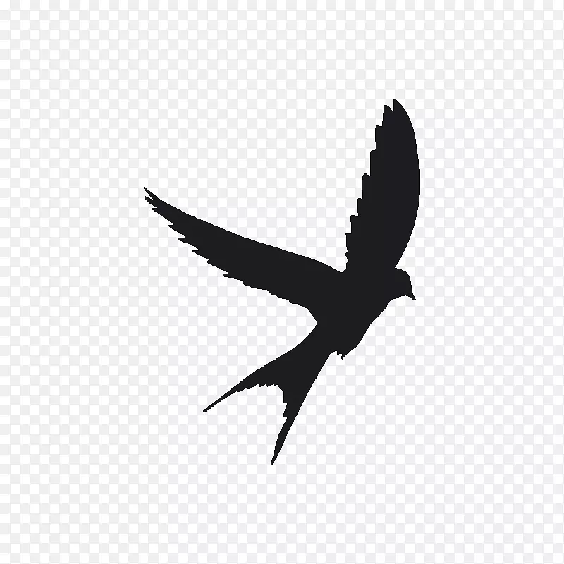 燕子纹身麻雀模拟3鸟