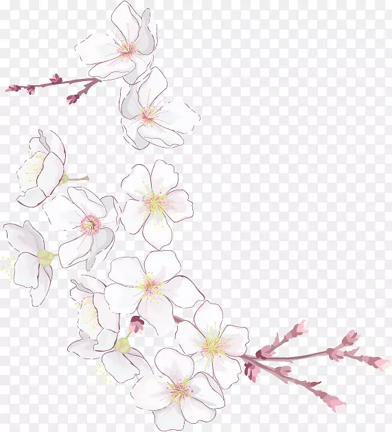 樱花花瓣设计-樱花