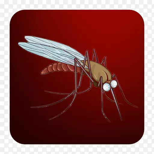 蚊子声刺猬苍蝇小鸟飞机器人-蚊子