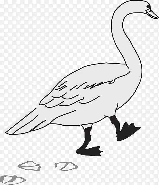 鹅鸭鸟夹艺术-鹅