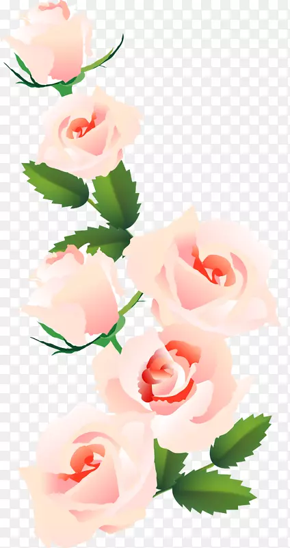 花园玫瑰，蜈蚣玫瑰，花卉设计，切花