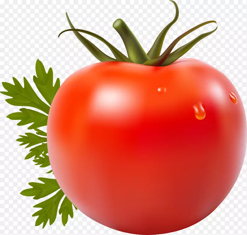番茄汁圣玛扎诺番茄蔬菜樱桃番茄-蔬菜