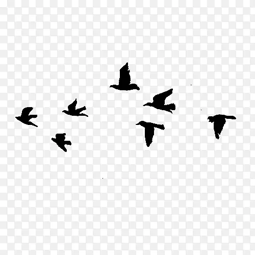 鸟类飞行剪贴画-鸟