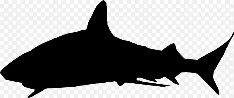 鲨鱼剪贴画-鲨鱼