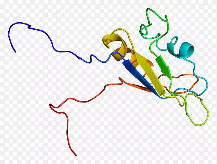 尤文肉瘤断点区1 RNA结合蛋白基因
