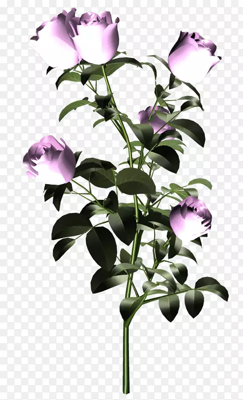 切花紫茎花