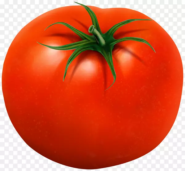 李子番茄灌木丛番茄食品剪贴画-番茄
