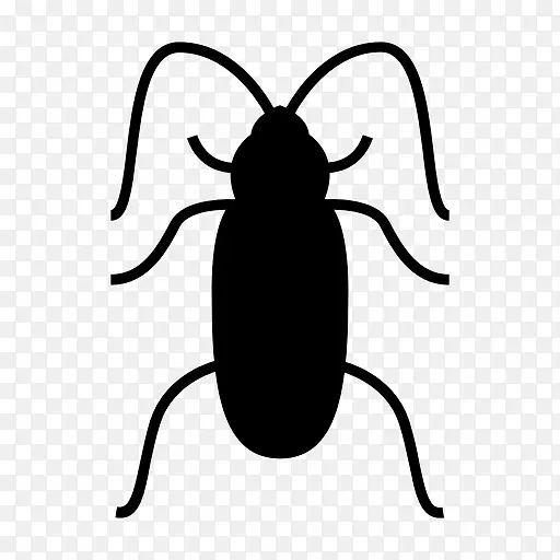 防治蟑螂昆虫生态学-蟑螂