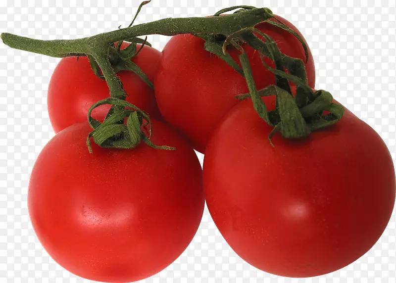 番茄蔬菜桌面壁纸-番茄