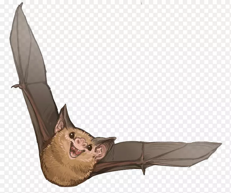 基蒂的猪鼻蝙蝠洪都拉斯白色吸血蝙蝠彩绘蝙蝠