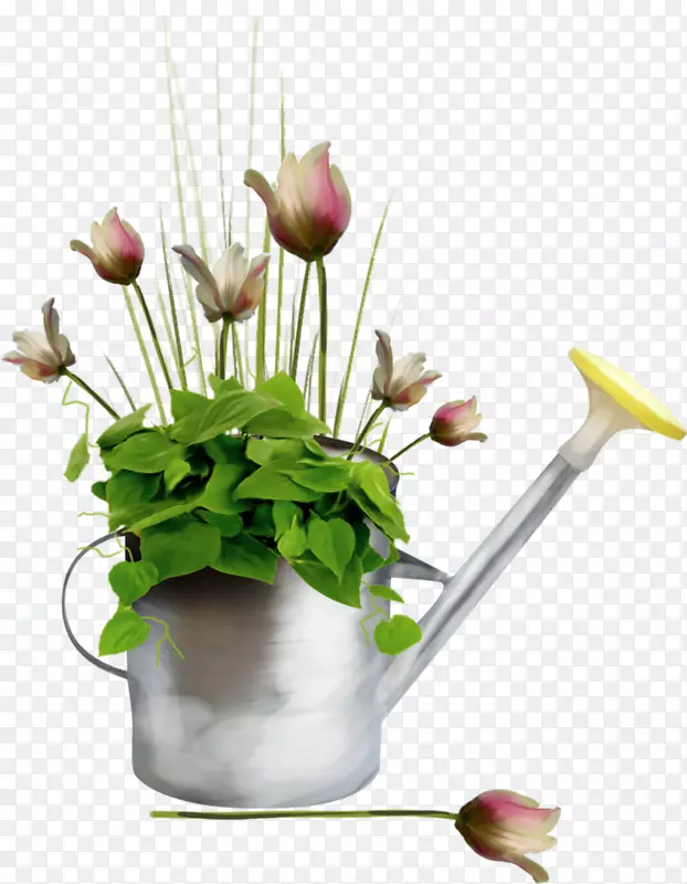 六月花卉设计网上论坛浇水罐