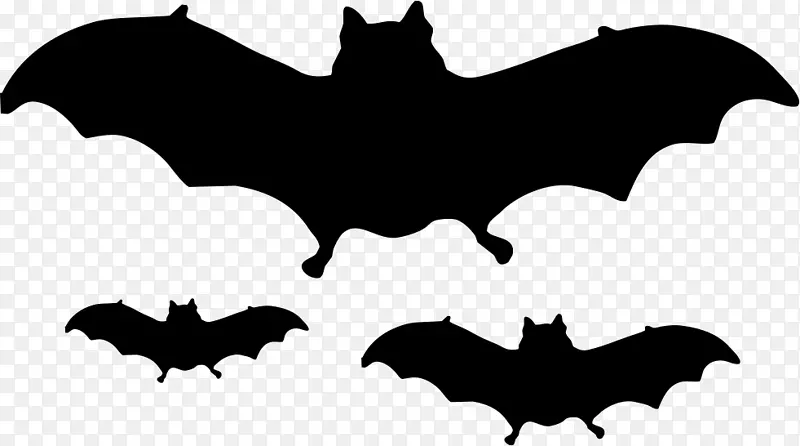 蝙蝠万圣节电脑图标-蝙蝠