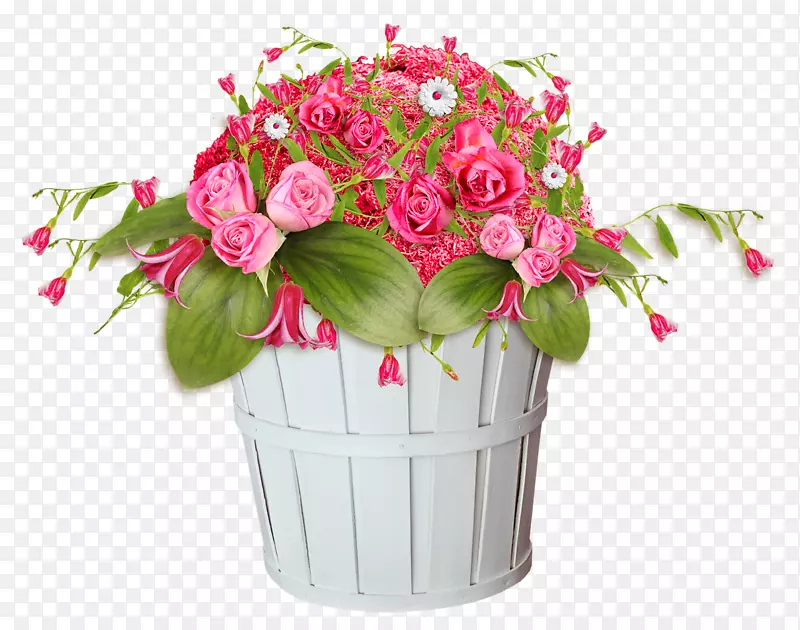 德兰士瓦菊花花瓶生命花园玫瑰-花