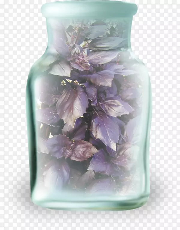 HTML紫丁香花瓶剪贴画