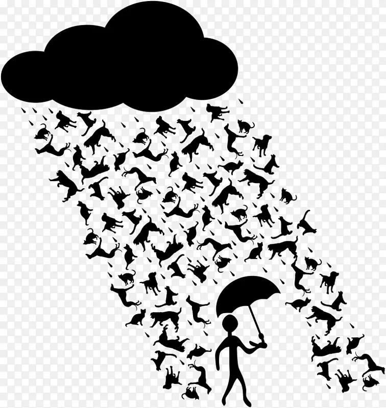 澳大利亚牧羊人雨夹艺术-猫