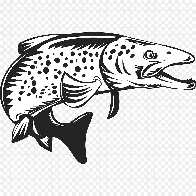 小溪鳟鱼剪贴画